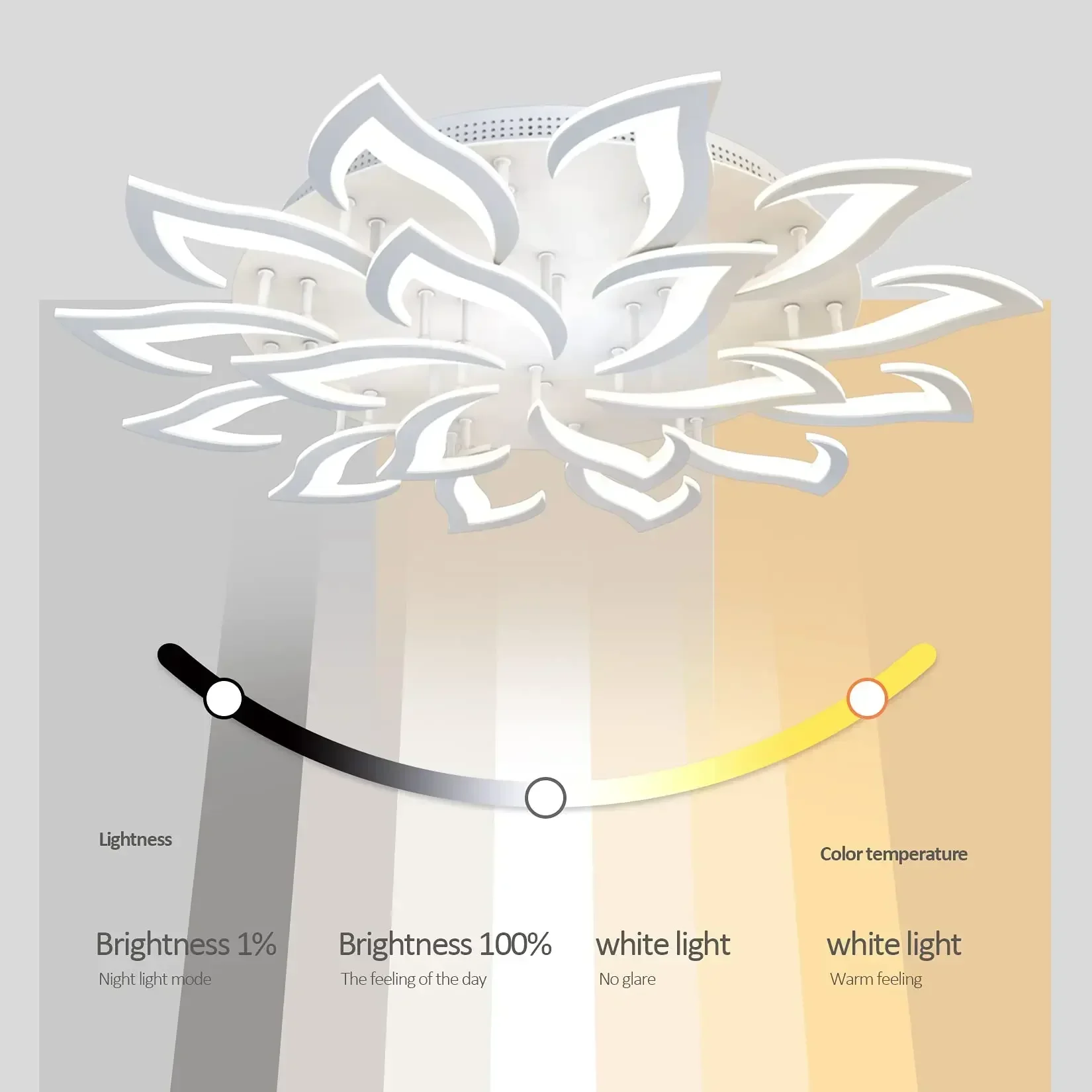 Designer LED Petal Chandelier  - Interior Design Remote 리뷰 및 가격