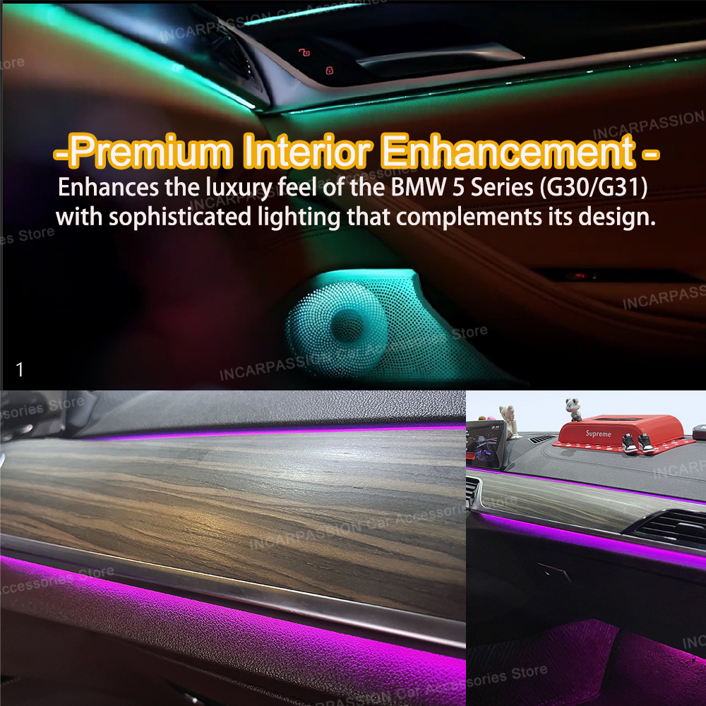 11 Colors OEM Design Ambient L - Interior Design Course 리뷰 및 가격