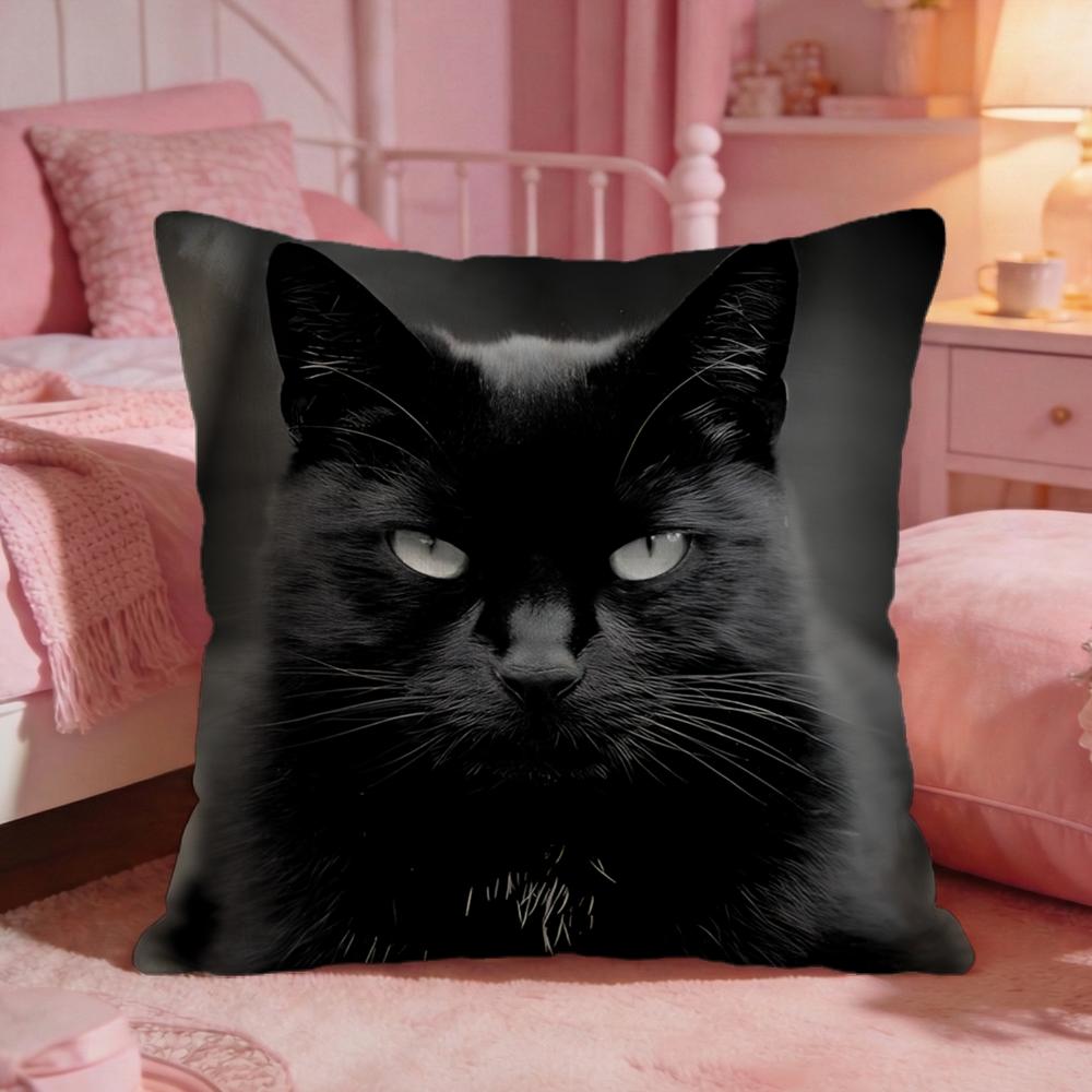 Black Cat Cute Cushion Cover P - Interior Design Course 리뷰 및 가격
