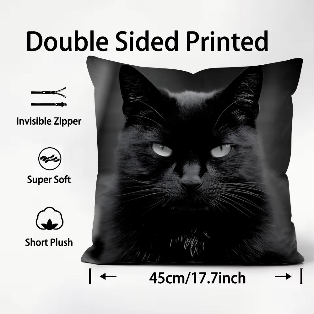 Black Cat Cute Cushion Cover P - Interior Design Course 리뷰 및 가격